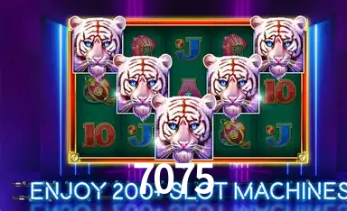 7075 Cassino Online Certificado